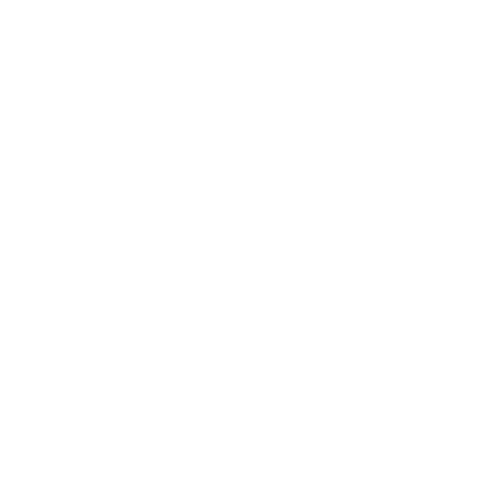 logo light